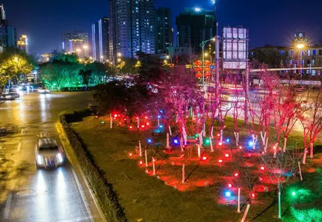 南充市政亮化好色先生TV下载安装制作施工安装