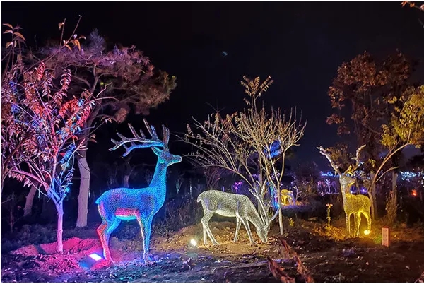 成都照明亮化好色先生TV下载安装制作安装